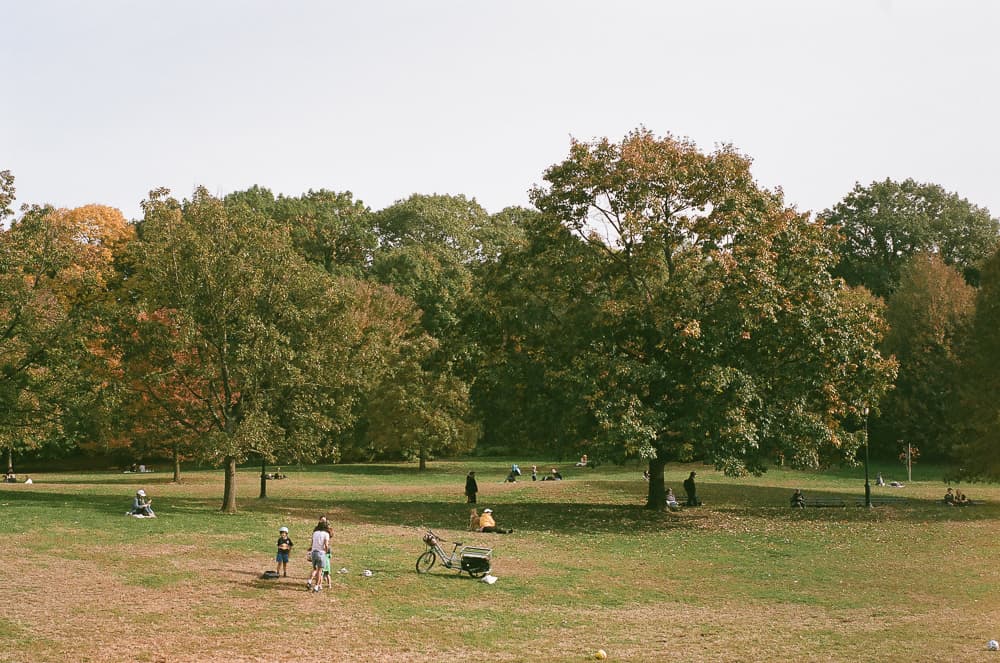 NYC Fall Radiance - Image 3