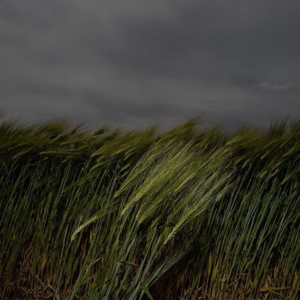 Electric Prairie Night - Image 2