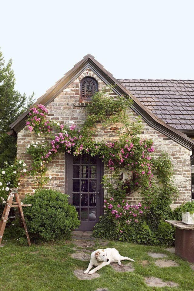 Whispers of Serenity - Image 2