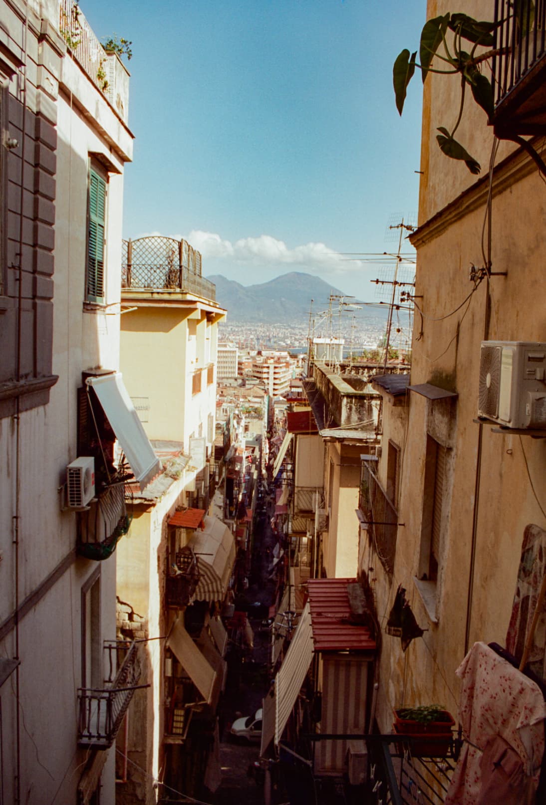 Alleyway Oasis - Image 1