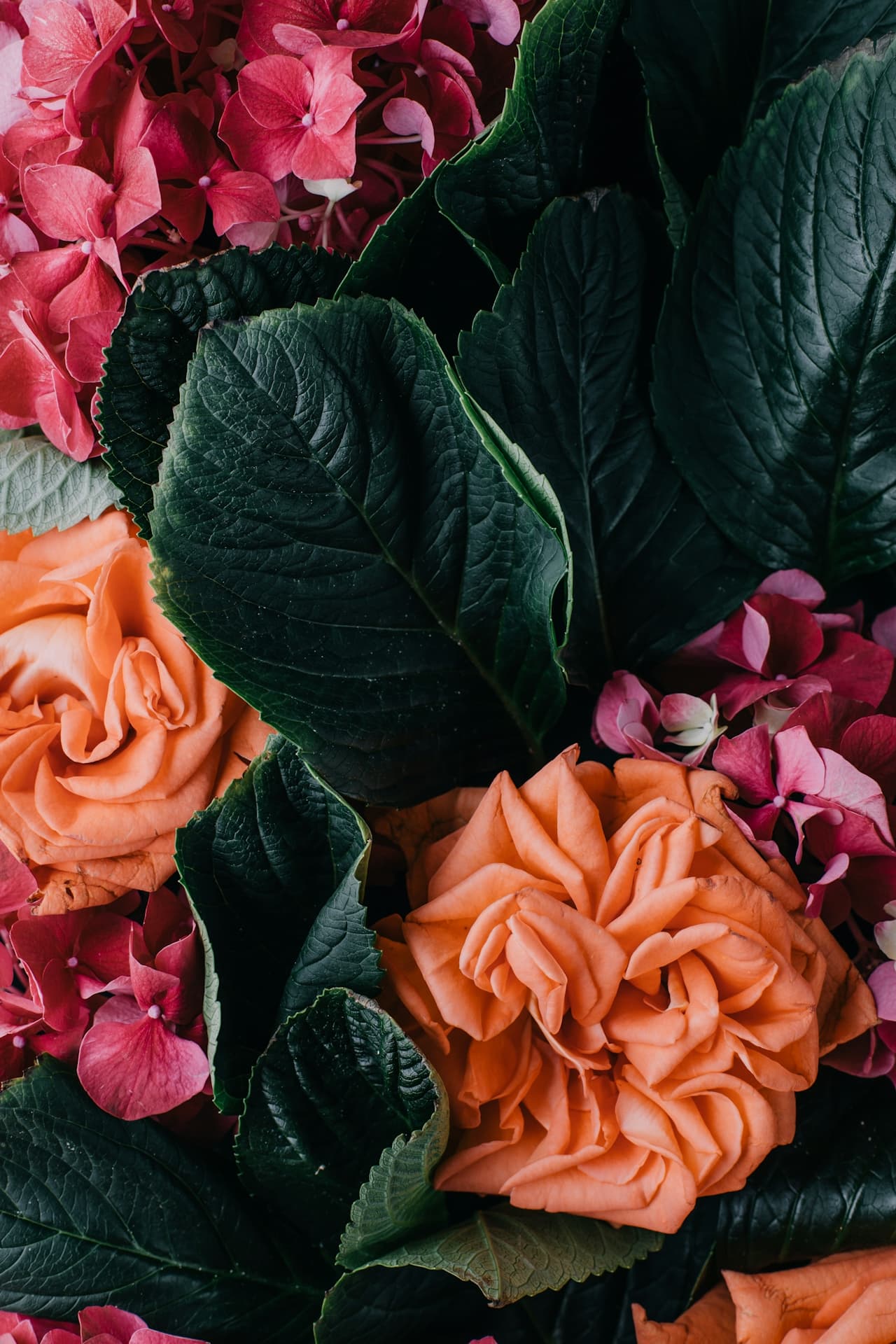 Midnight Garden Bloom - Image 1