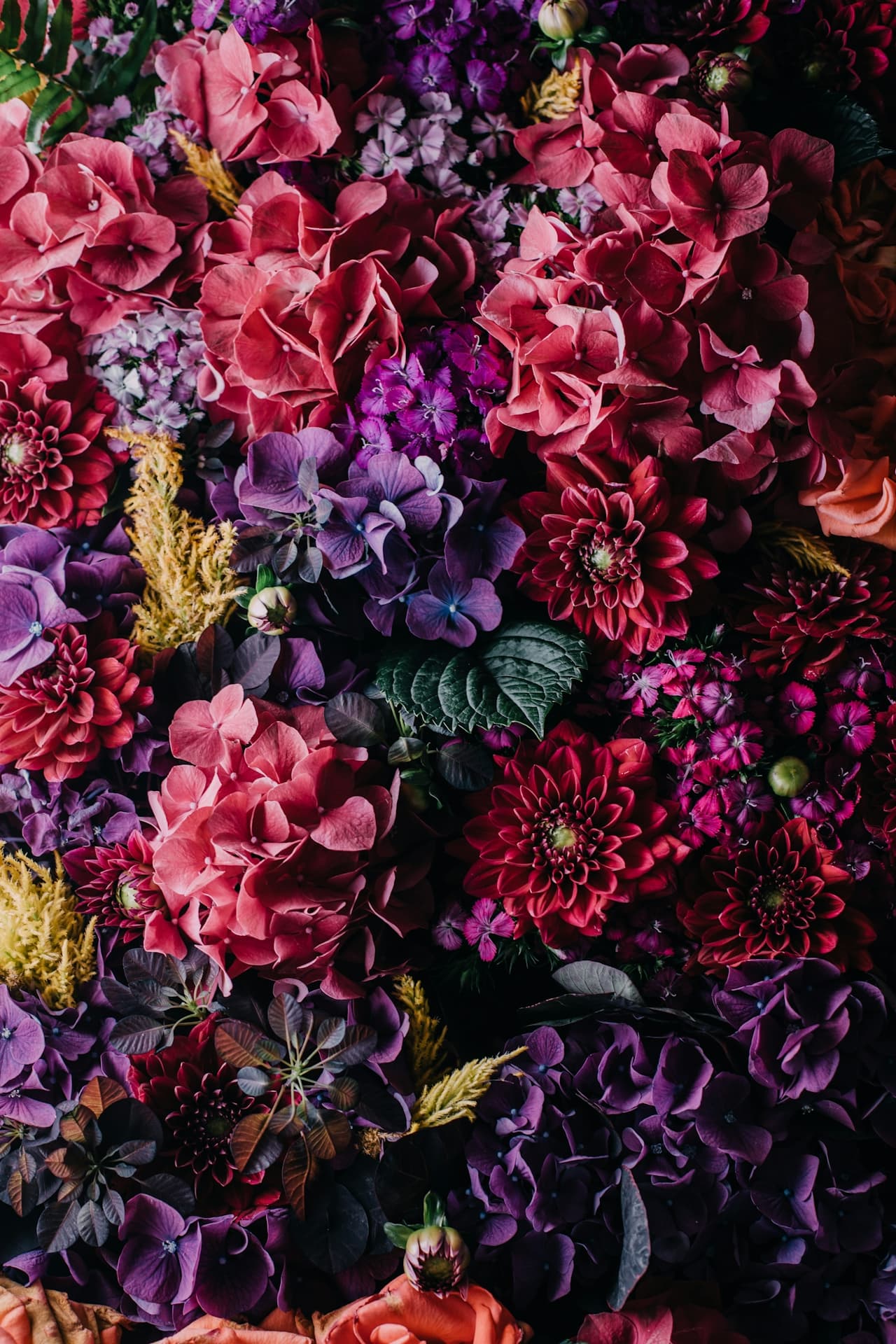 Midnight Garden Bloom - Image 3