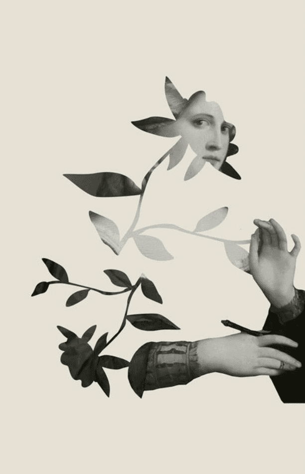 NOSIE's Garden of Dreams - Image 1