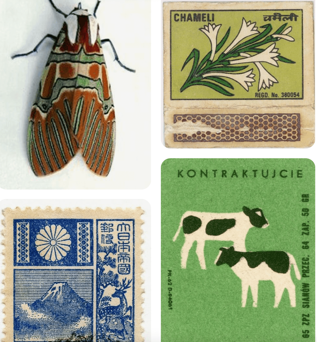 Whispers of Wonder - Image 1