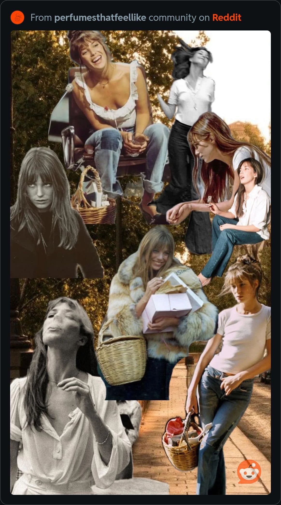 Birkin's Natural Chic - Image 1