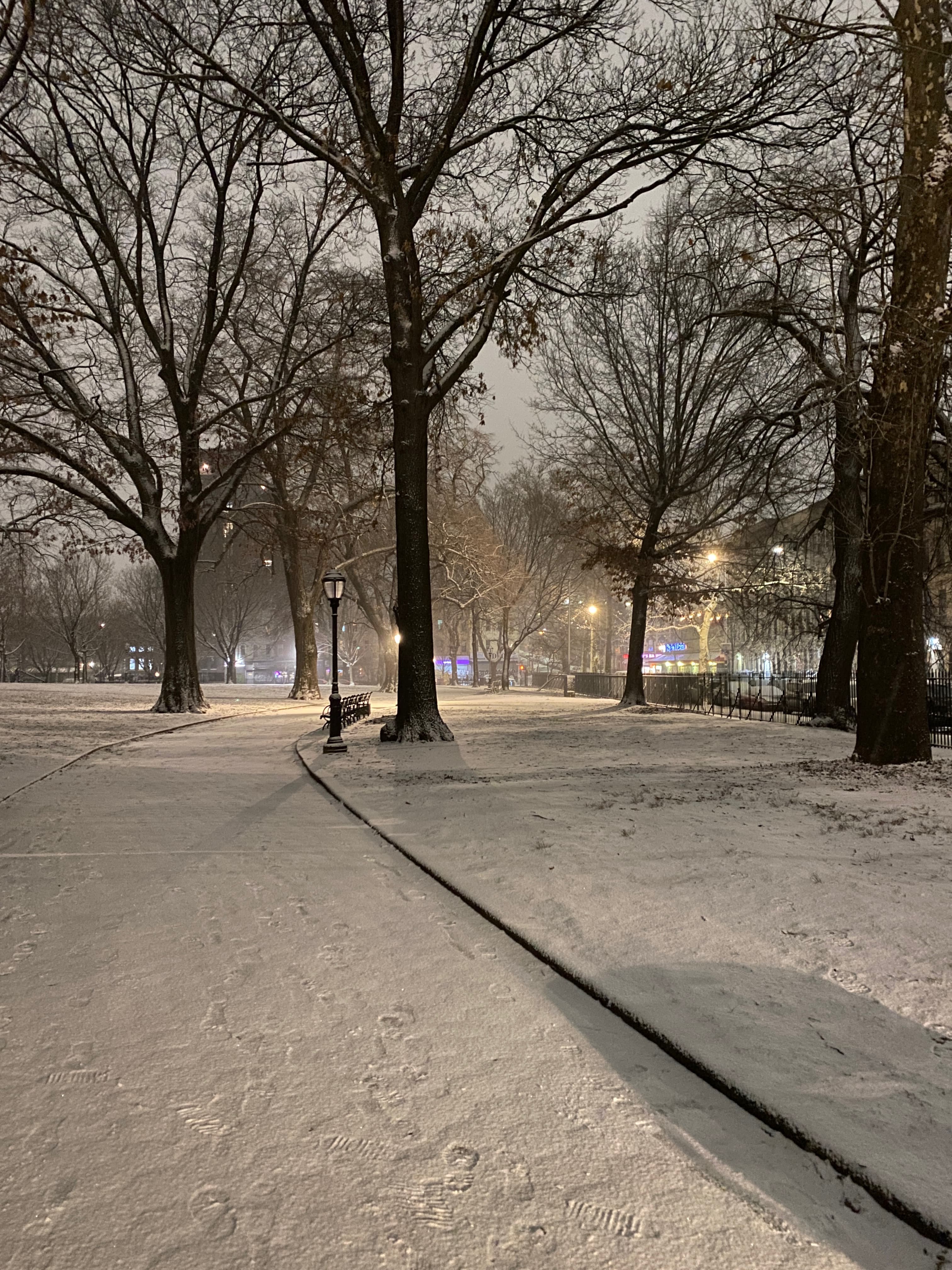 Winter's Quiet Embrace - Image 3