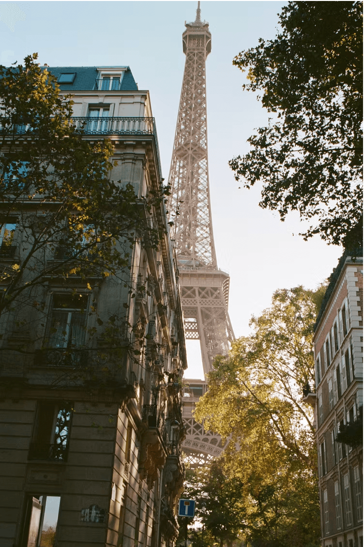 Seasonal Reverie: City to Forest - Image 1