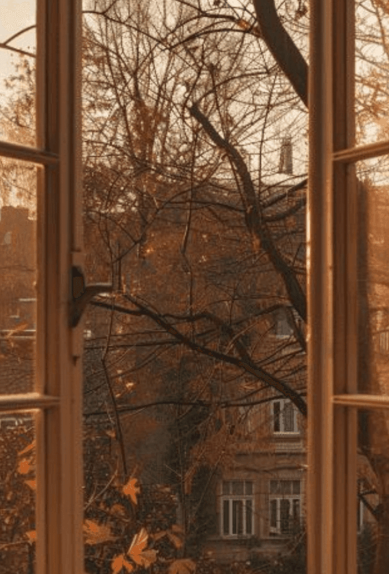 Seasonal Reverie: City to Forest - Image 3