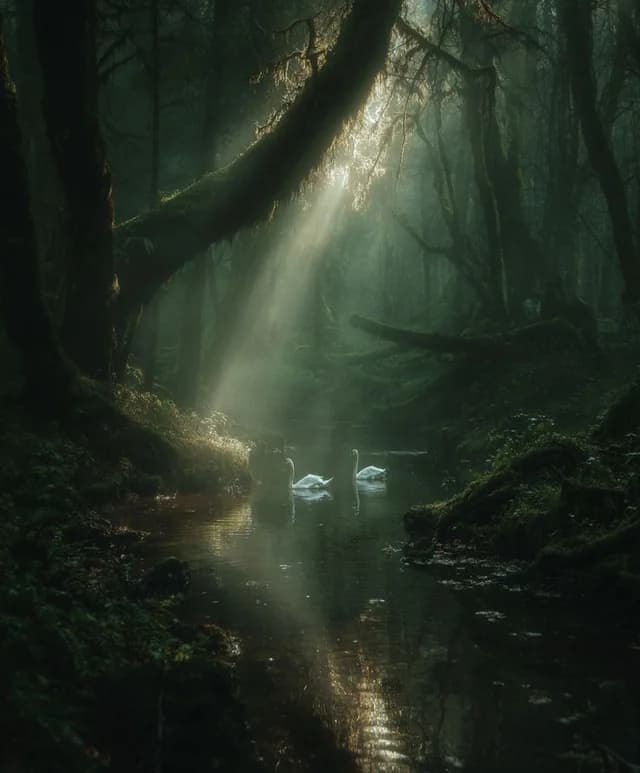 Mossy Sanctuary by the Pond - Image 3