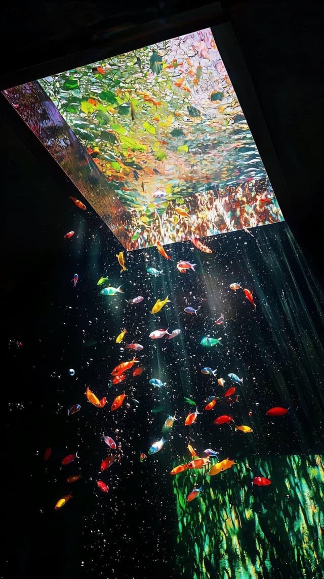 Chromatic Dreams, Liminal Light - Image 2