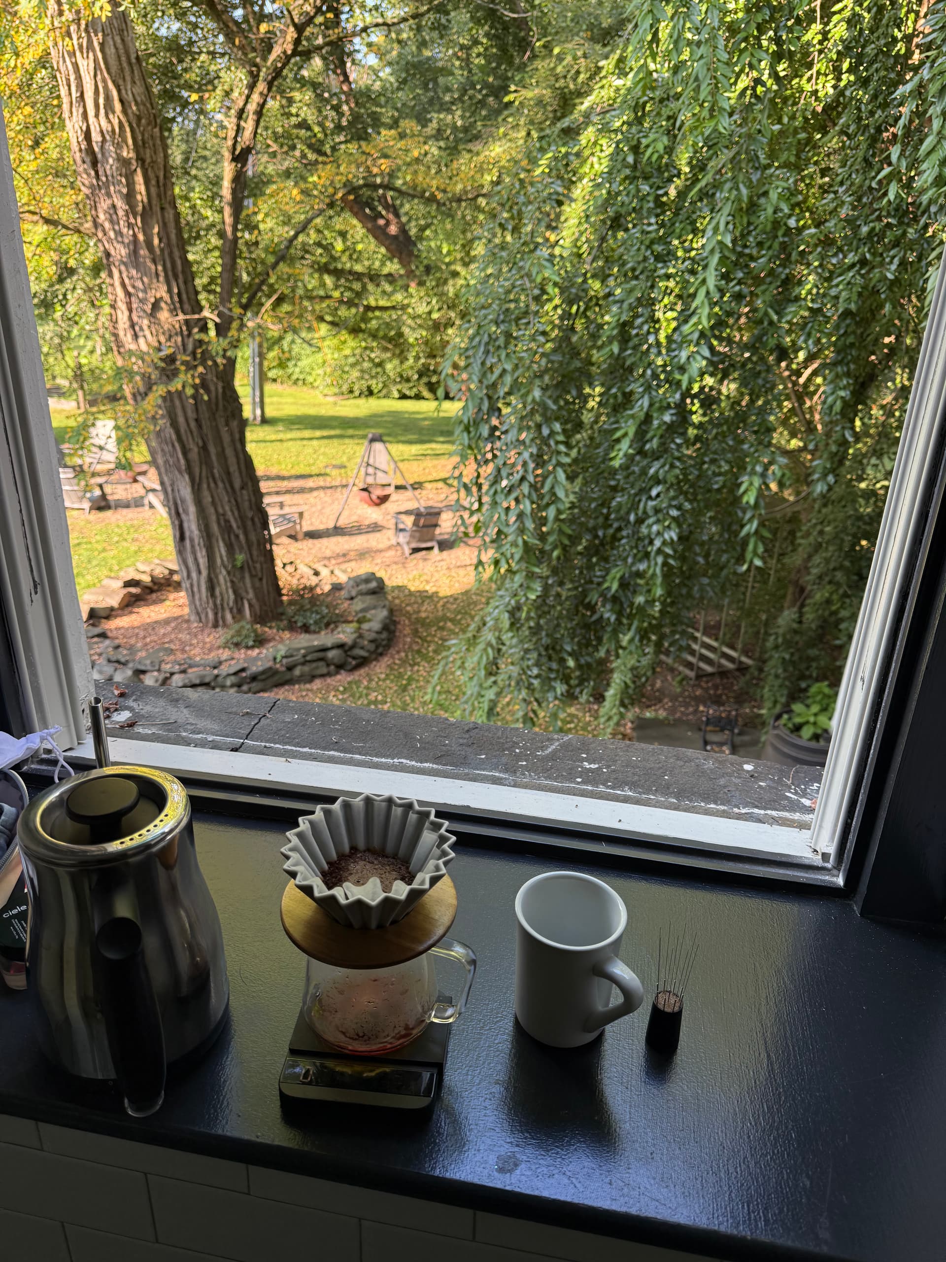 Verdant Calm & Morning Rituals - Image 2