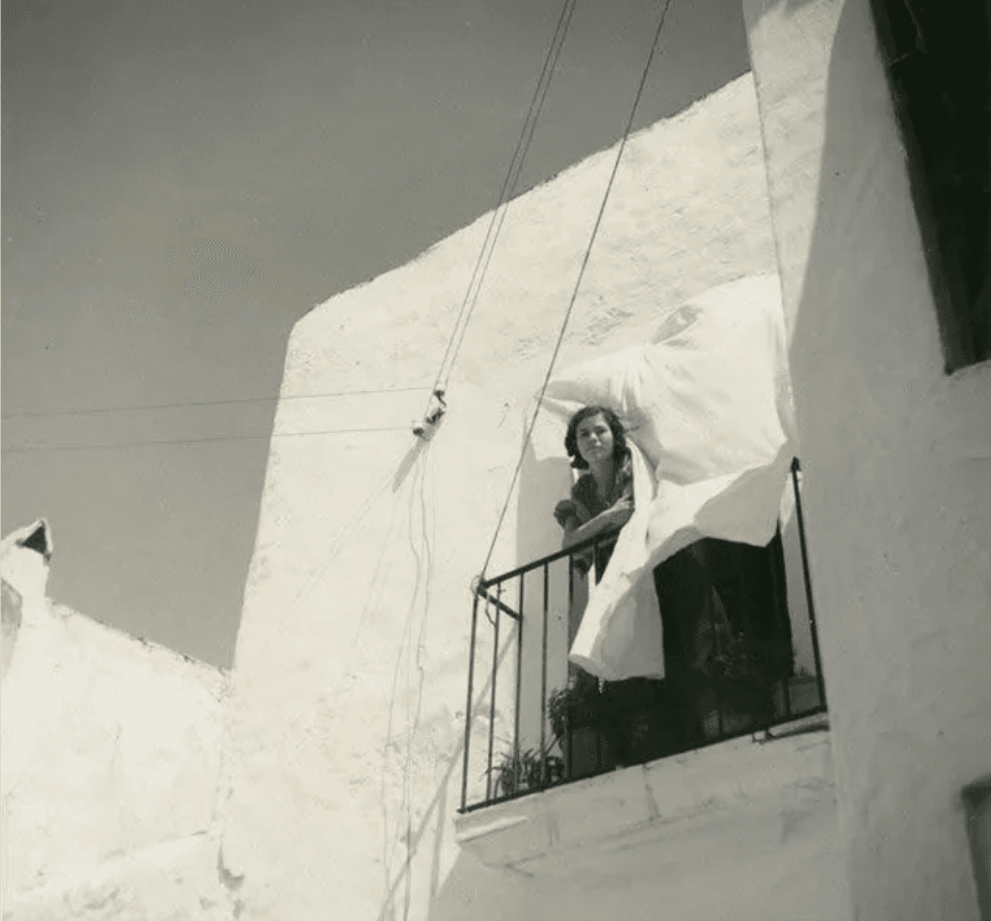 Andalusian Daydream - Image 3