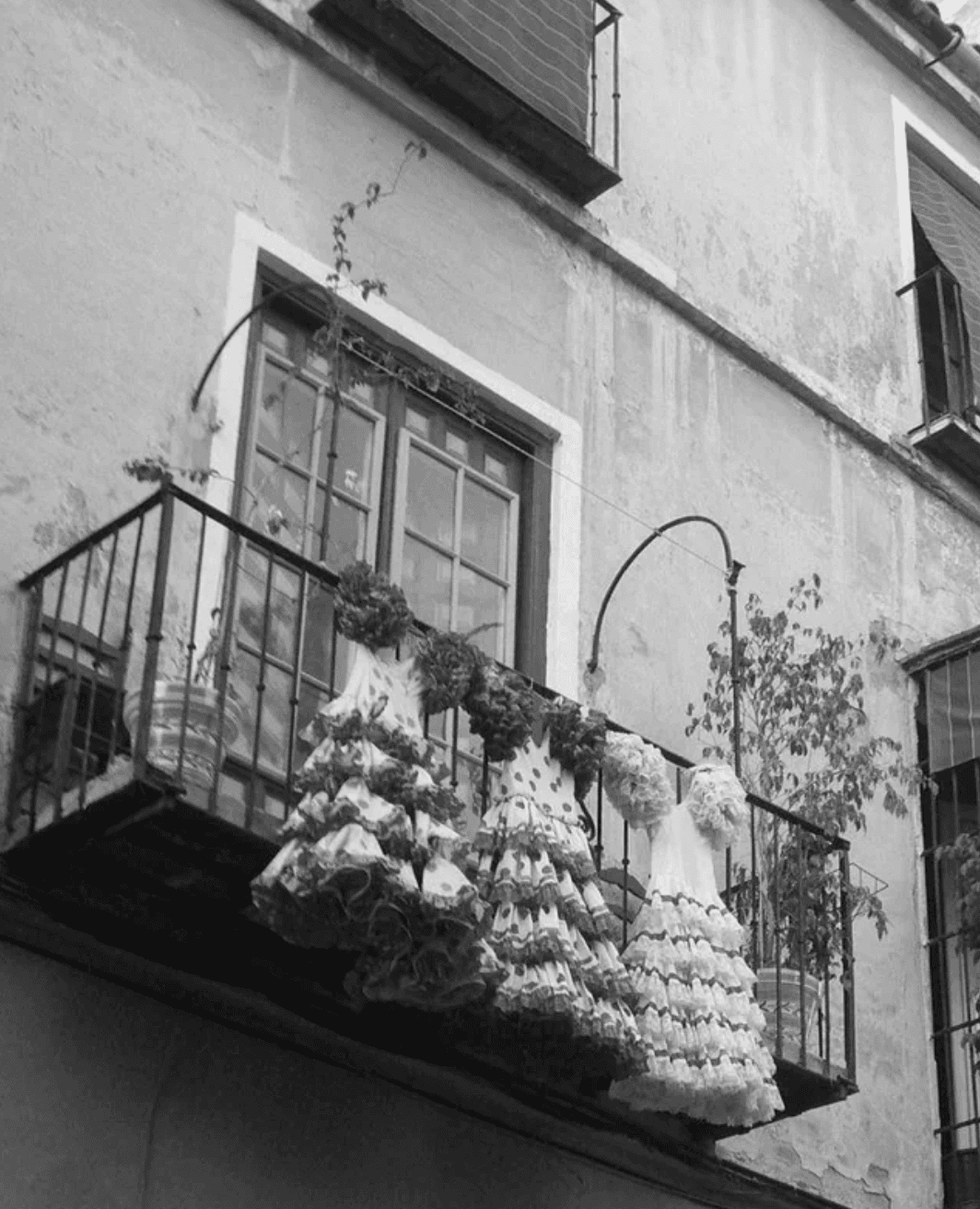 Andalusian Daydream - Image 4