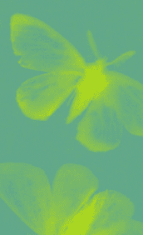 Whispers of the Liminal - Image 2