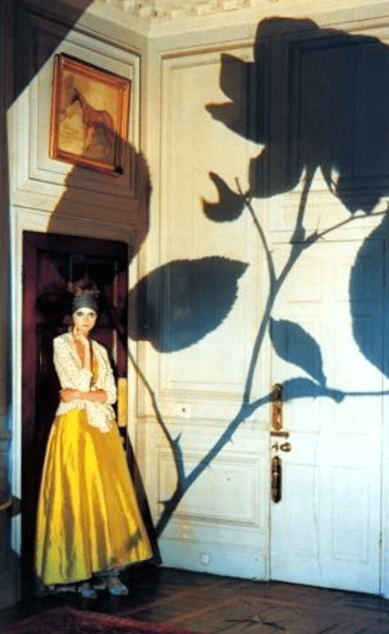 Elegant Botanicals & Shadow Play - Image 3