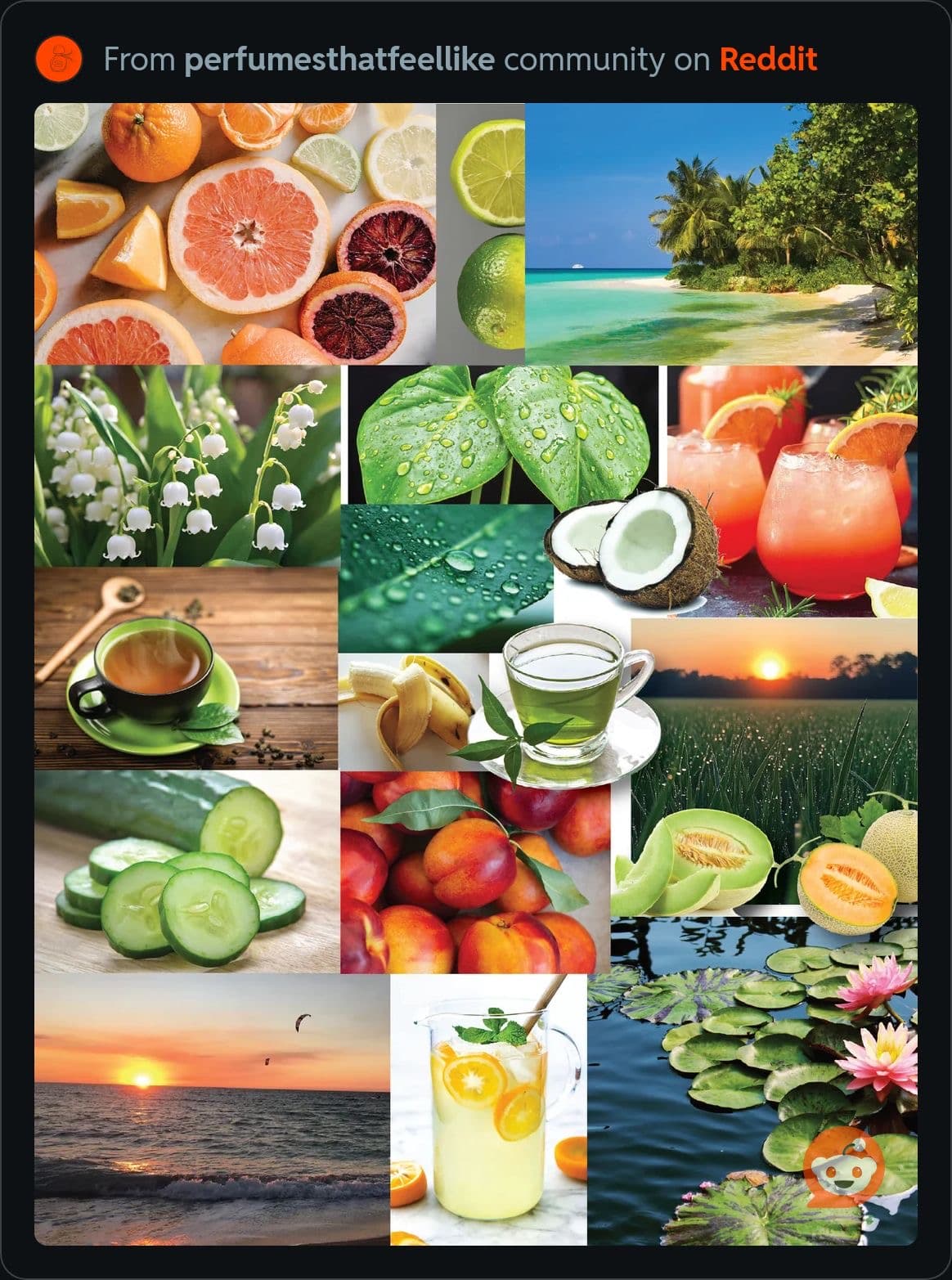 Fresh Citrus Oasis - Image 1