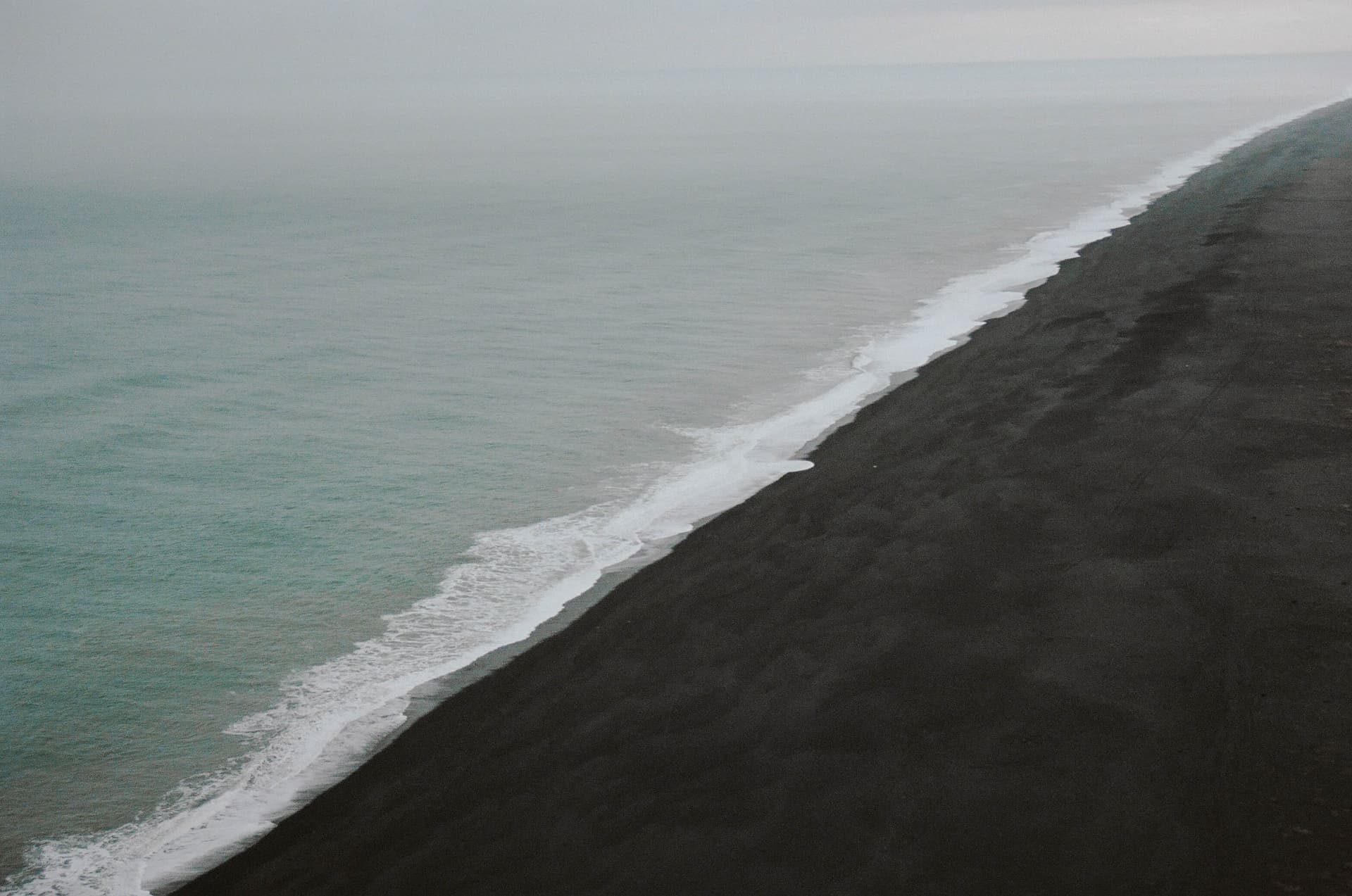 Coastal Roar: Black Sands and Soaring Birds - Image 2