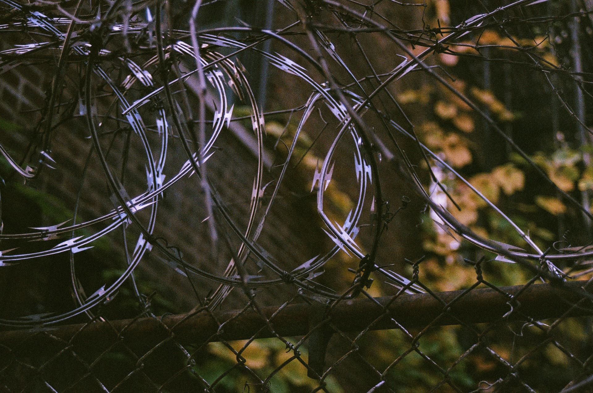 Urban Grit & Fading Light - Image 1