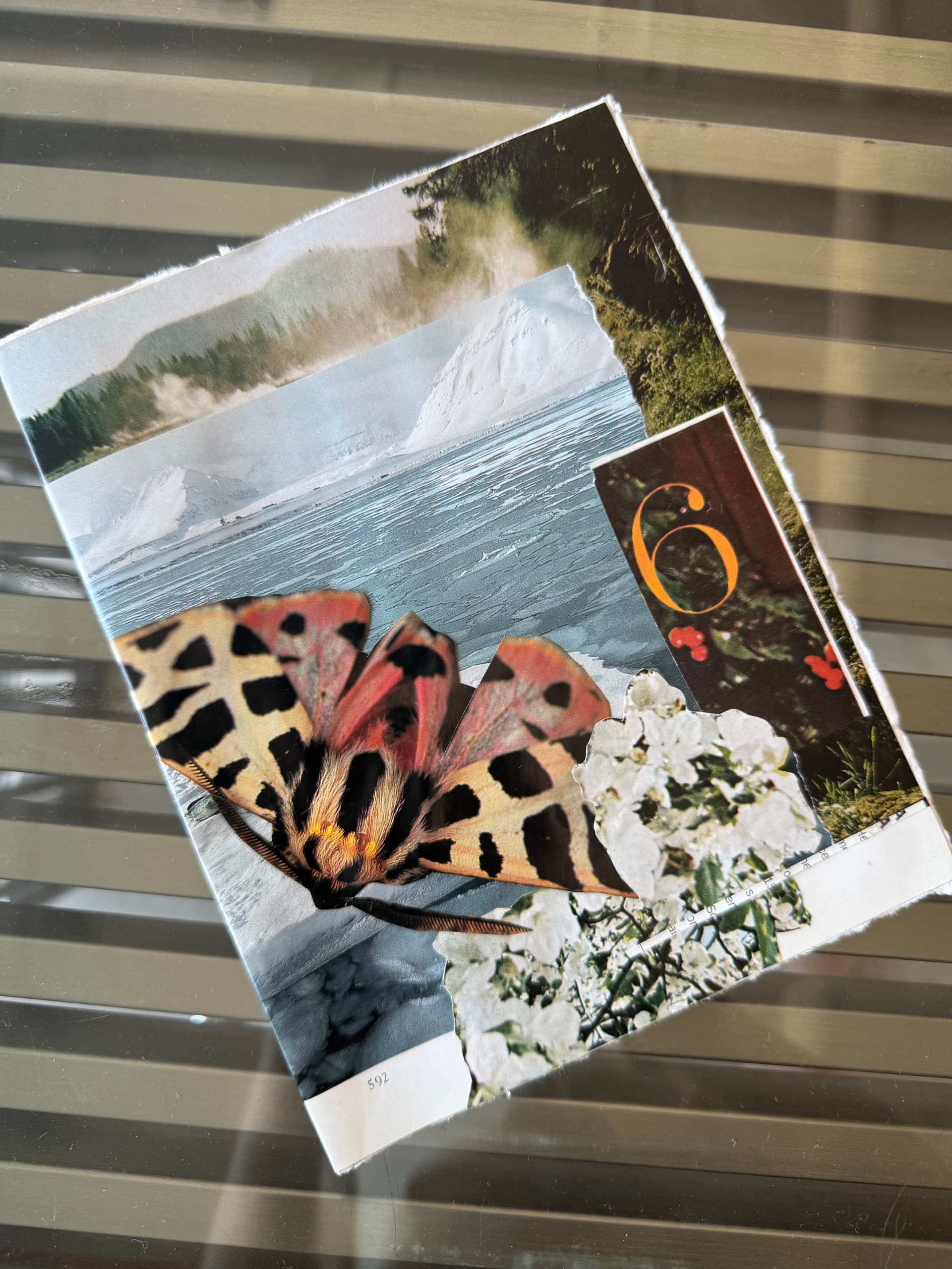 Icy Peaks, Fragile Wings - Image 1