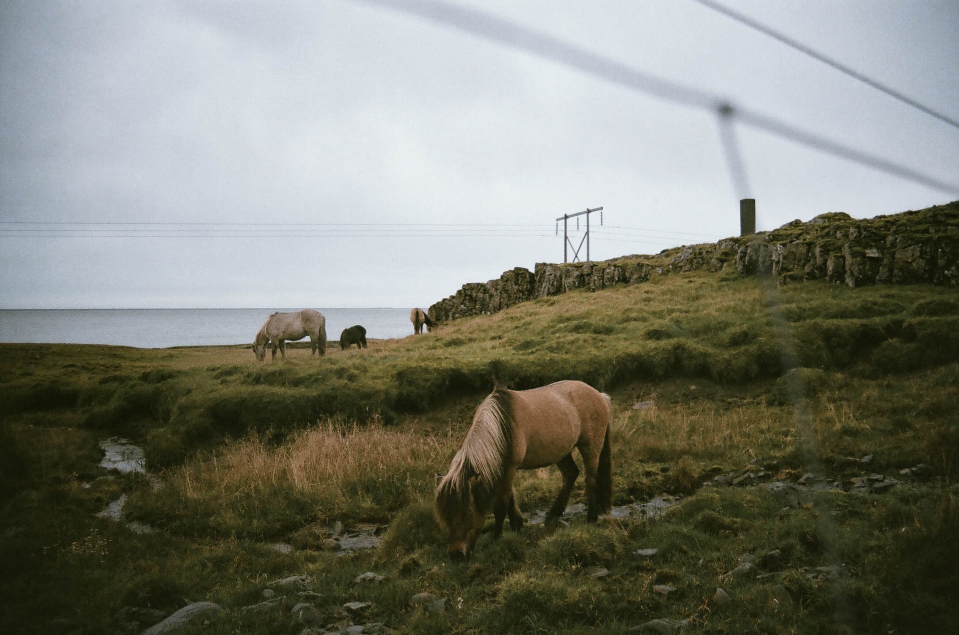 Icelandic Horizons - Image 3