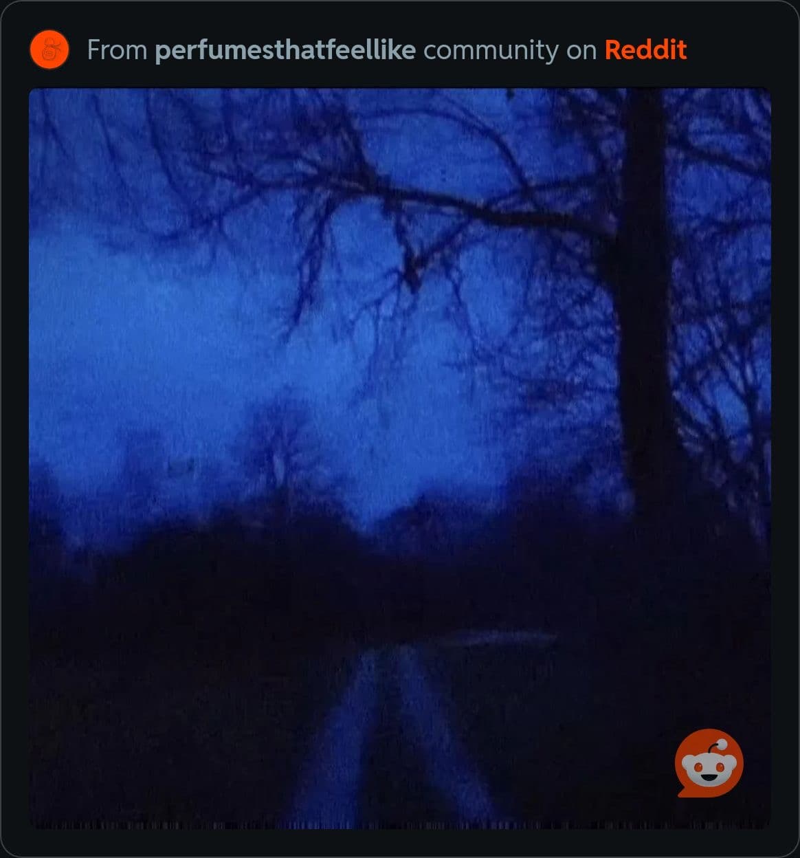 Misty Dusk Solace - Image 1