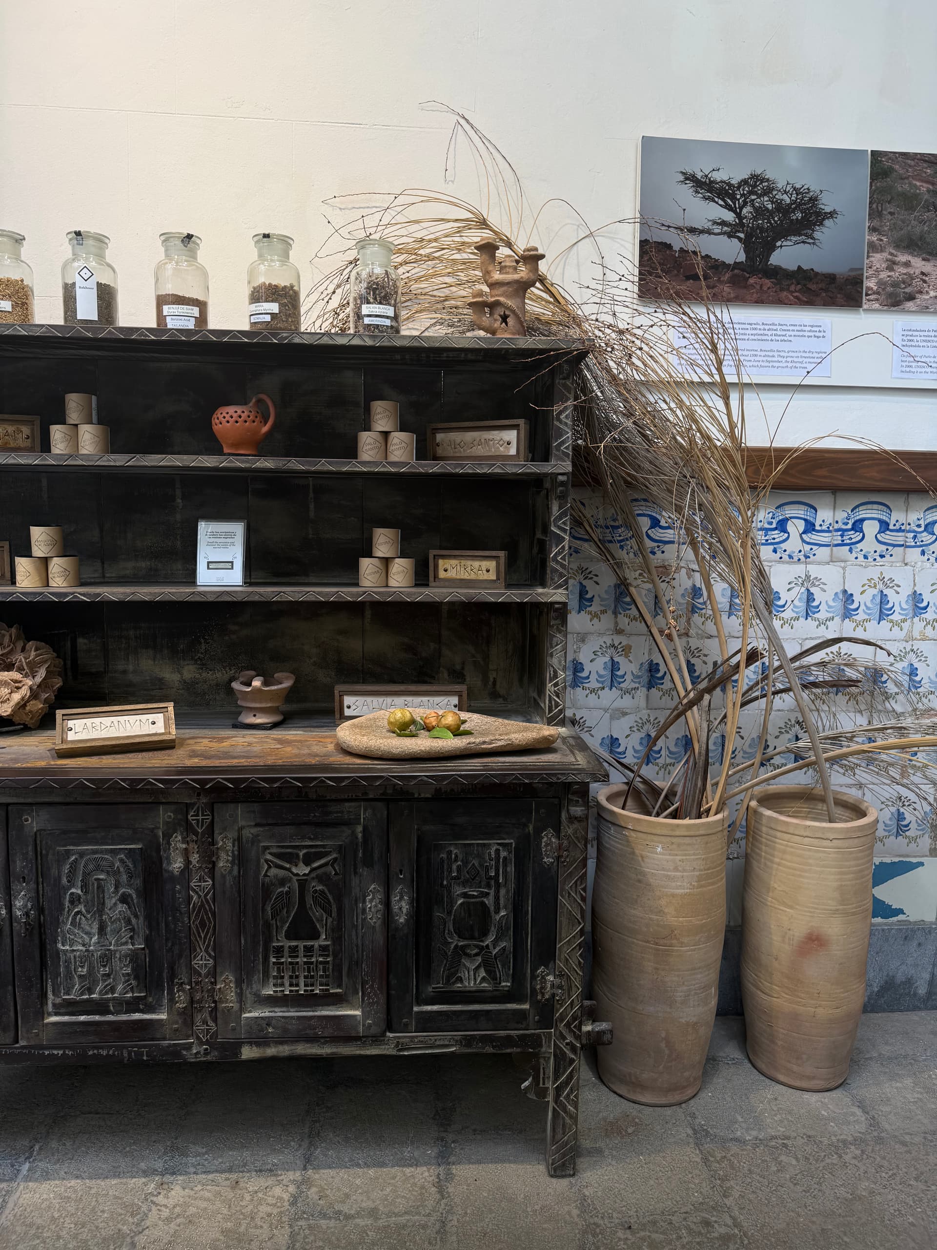 Ancient Botanical Essences - Image 1