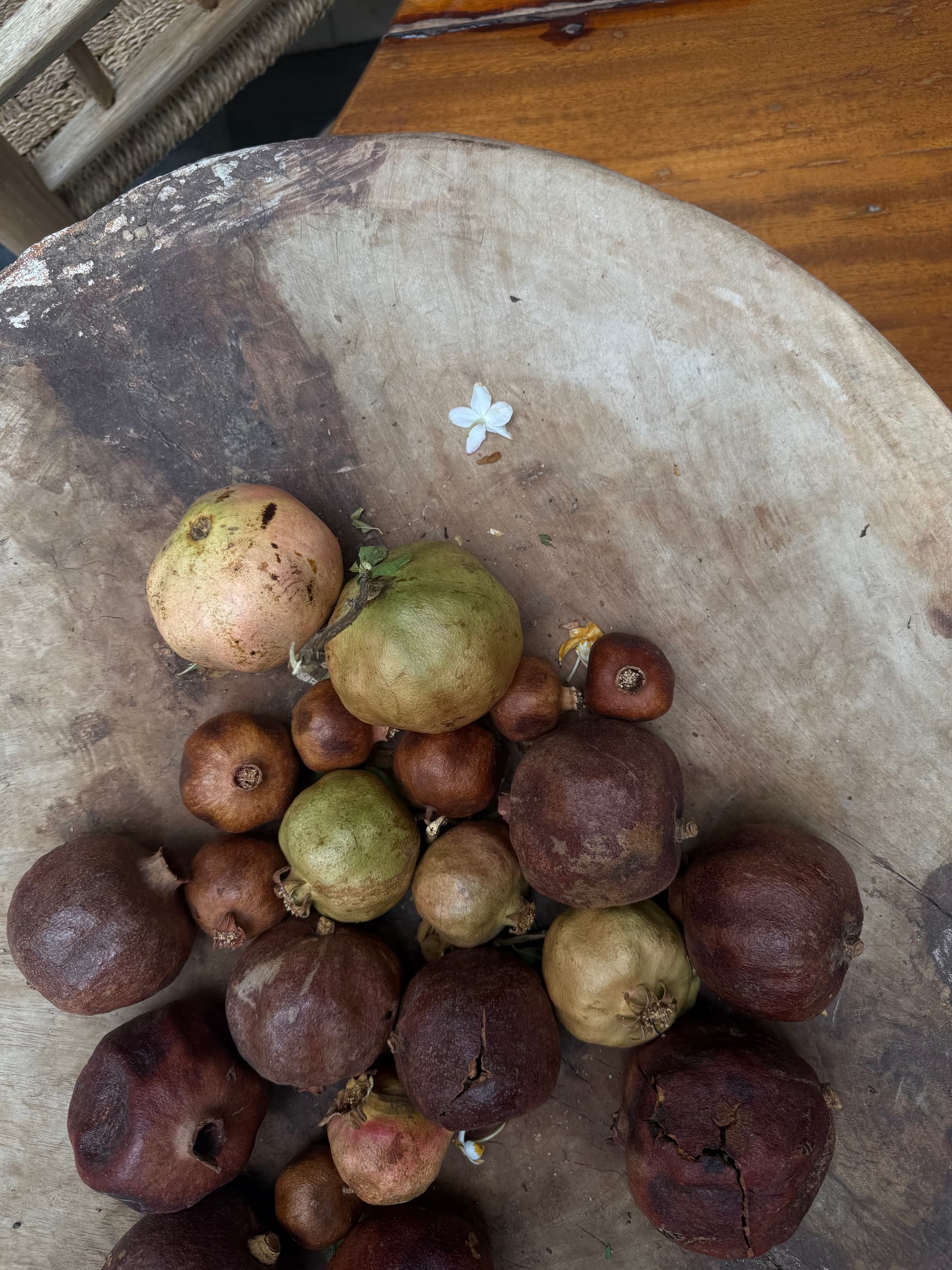 Ancient Botanical Essences - Image 3