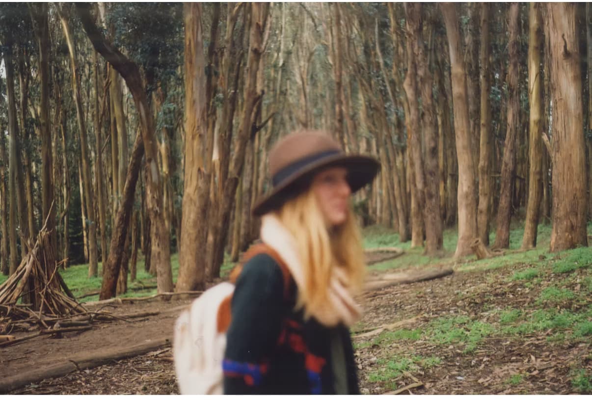 Whispers of the Woodland - Image 1