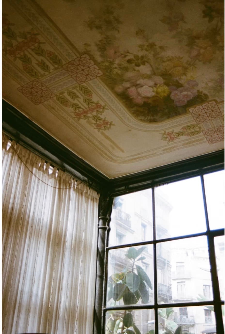 Belle Époque Botanicals - Image 2