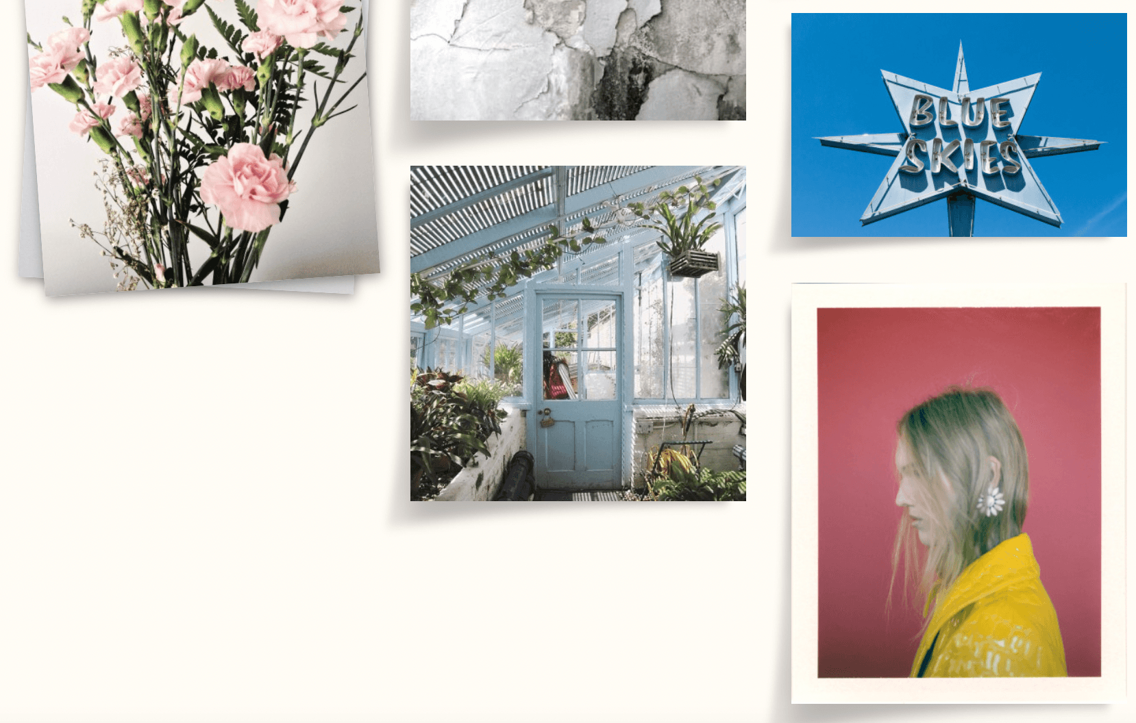 Blossoming Optimism - Image 1