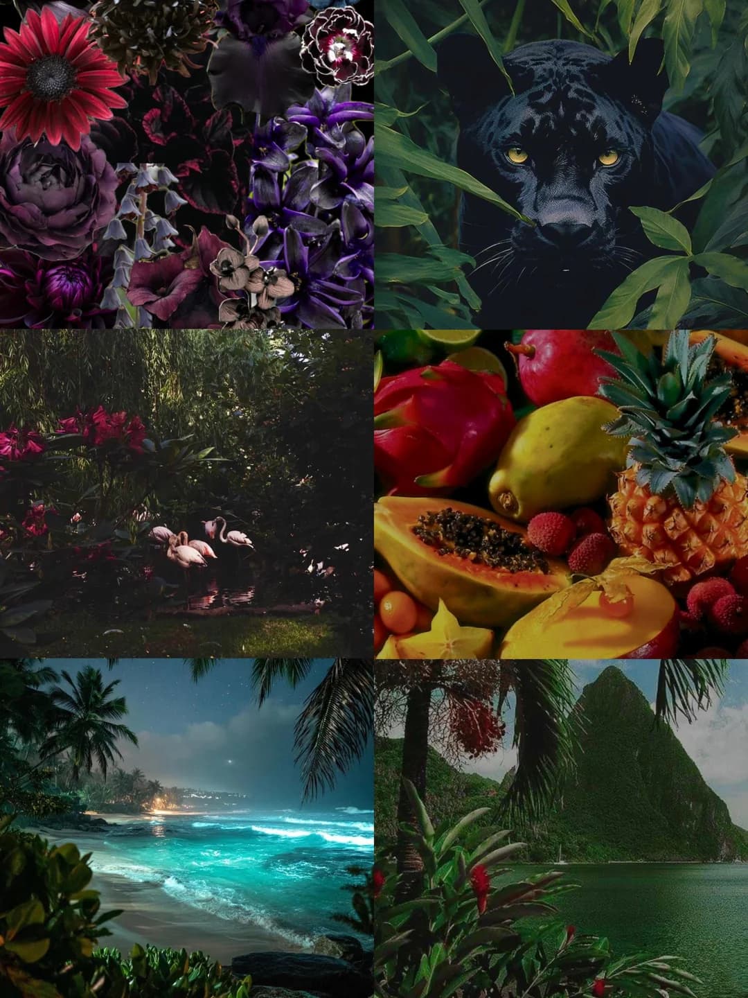 Midnight Tropical Allure - Image 1