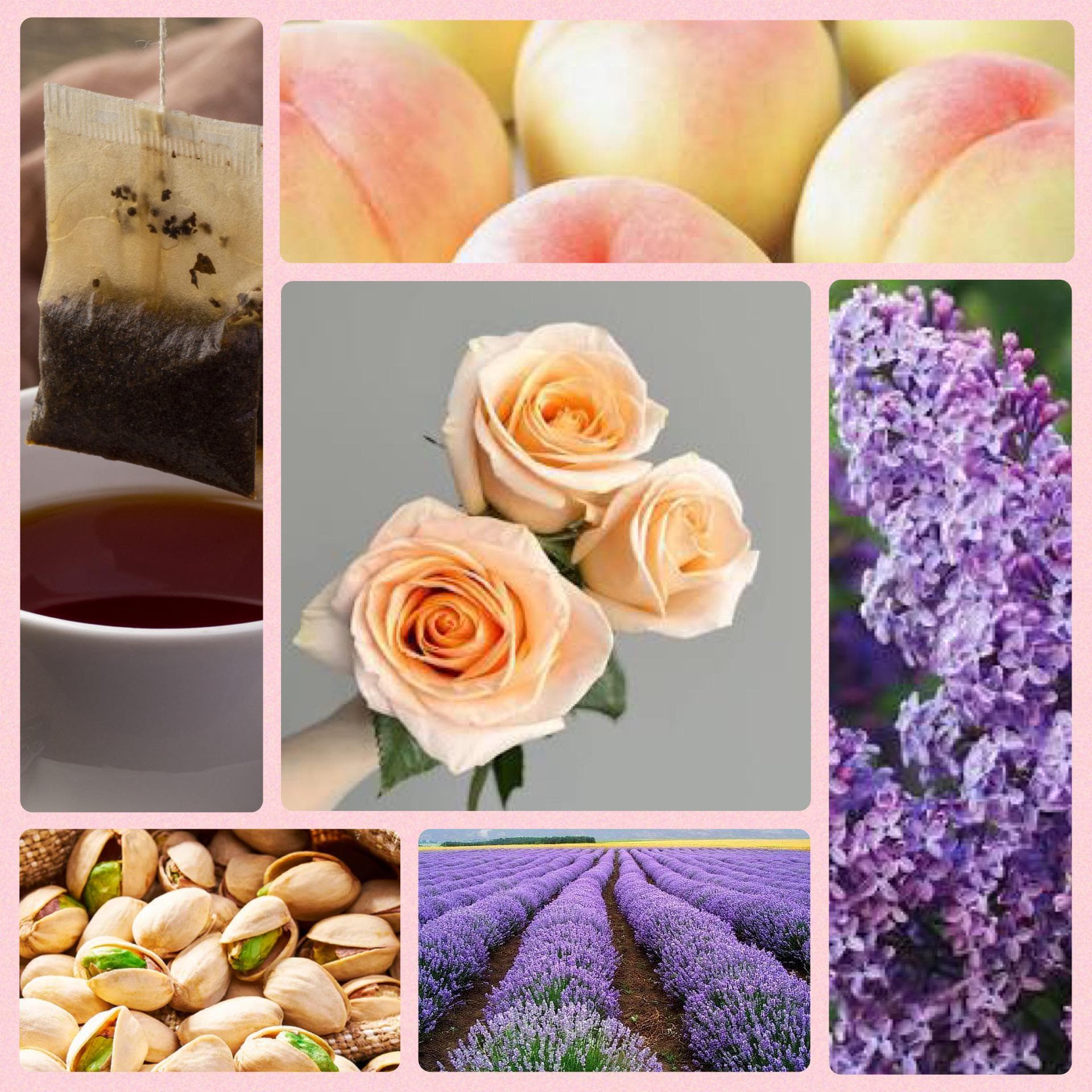 Garden of Senses - Image 1