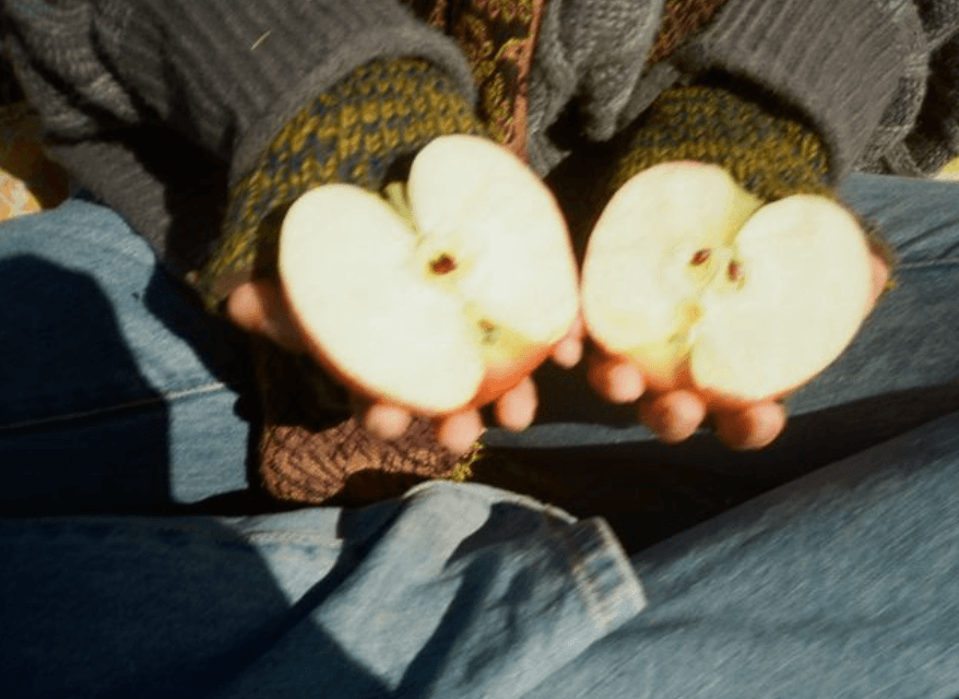 Cozy Autumn Reverie - Image 2