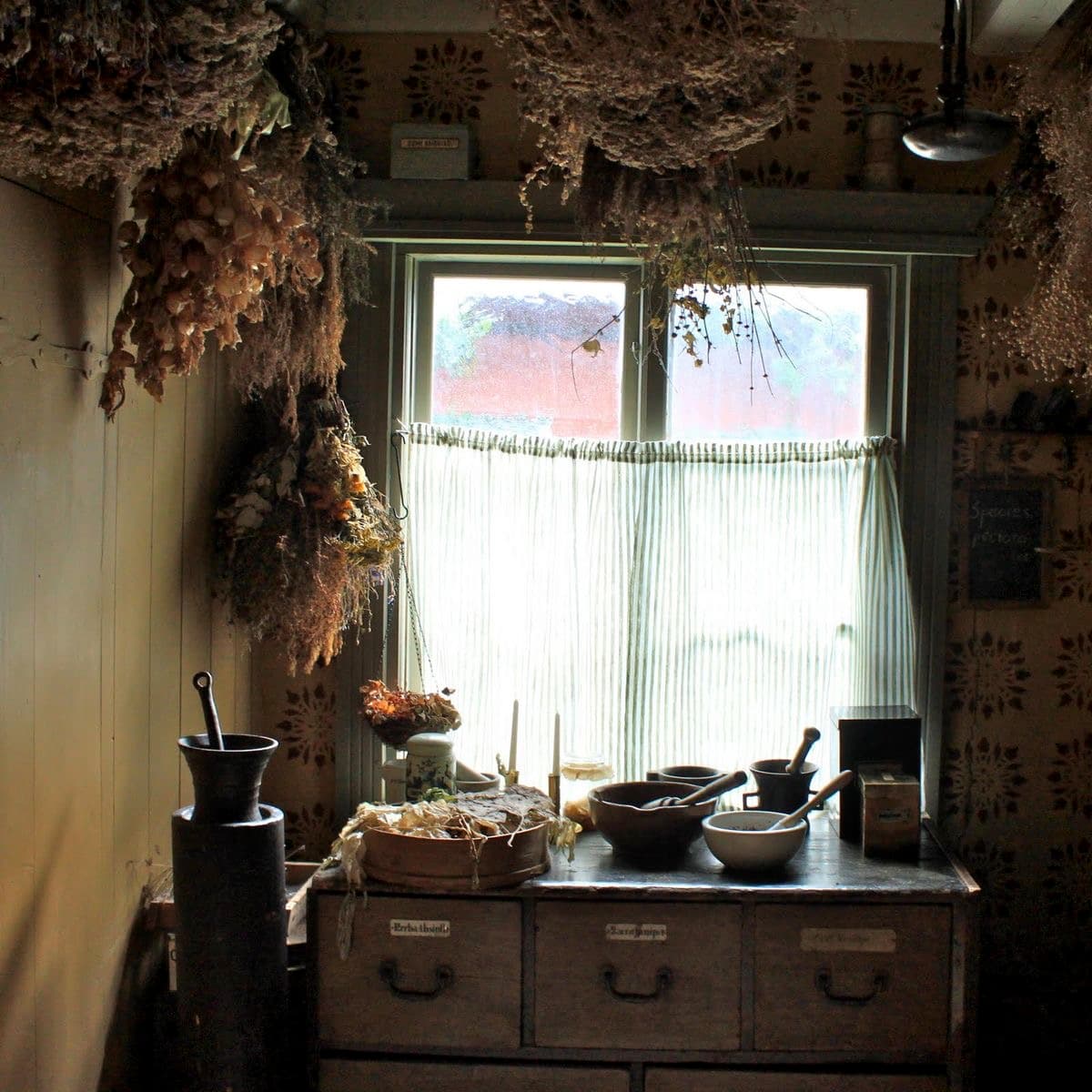 Baba Yaga's Secret Herbarium