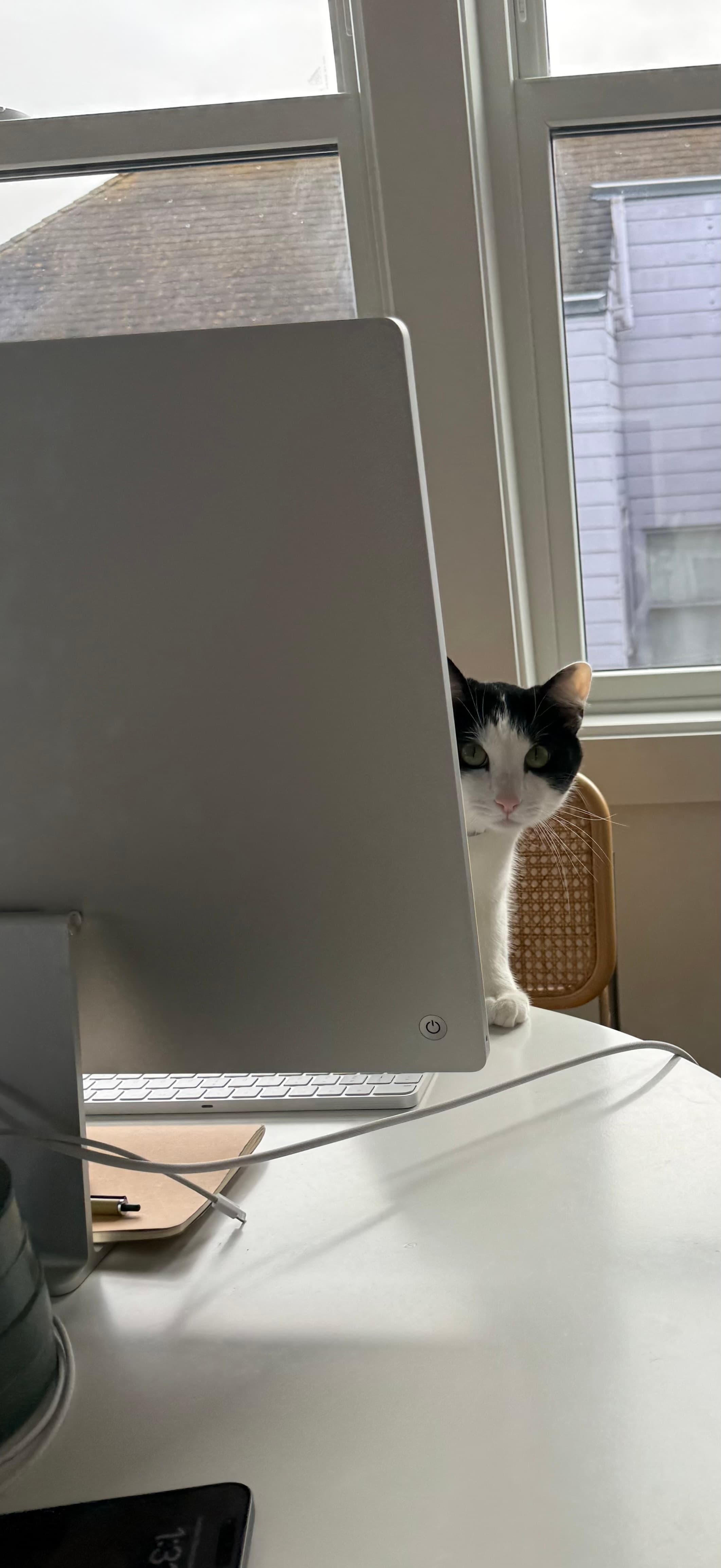 Sunny Naps & Curious Glimpses - Image 1