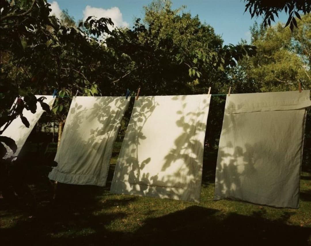 Golden Pear & Fresh Linen - Image 1