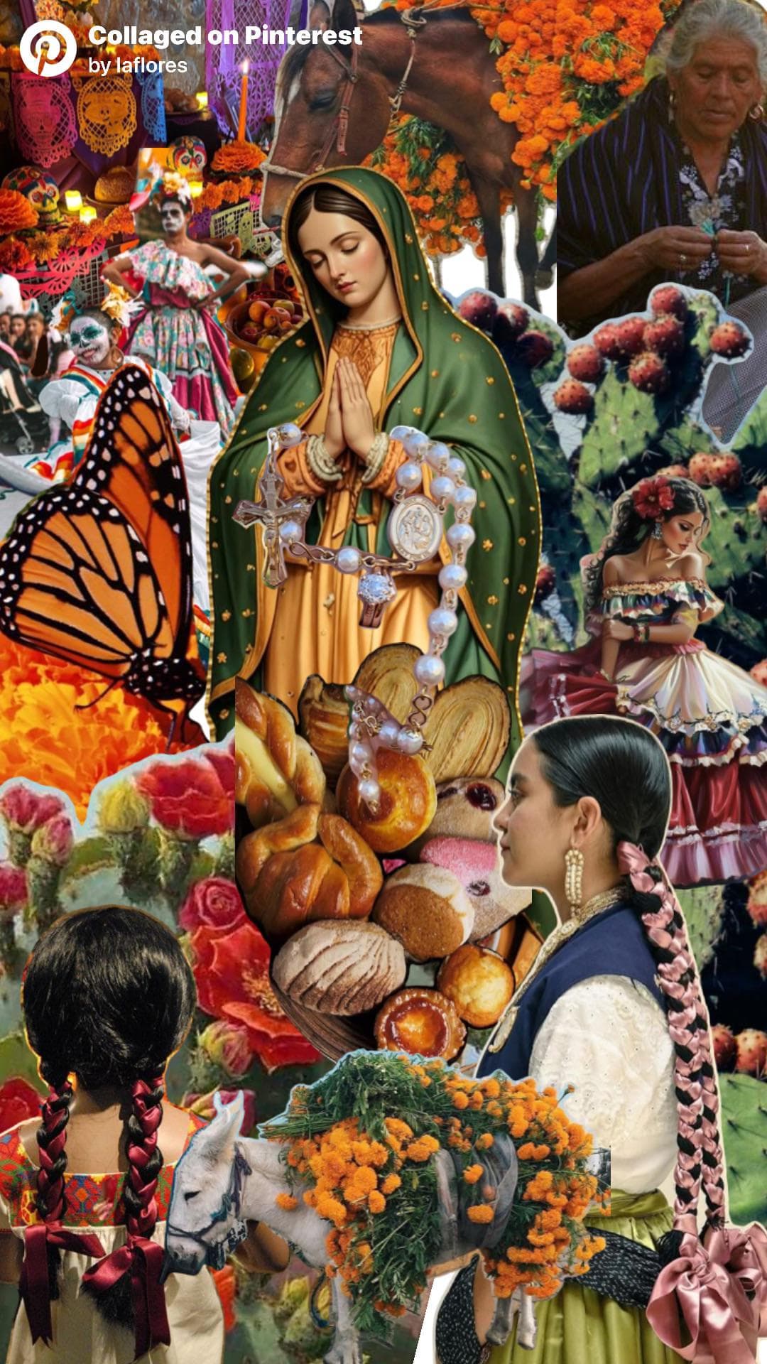 Fiesta of the Senses - Image 1