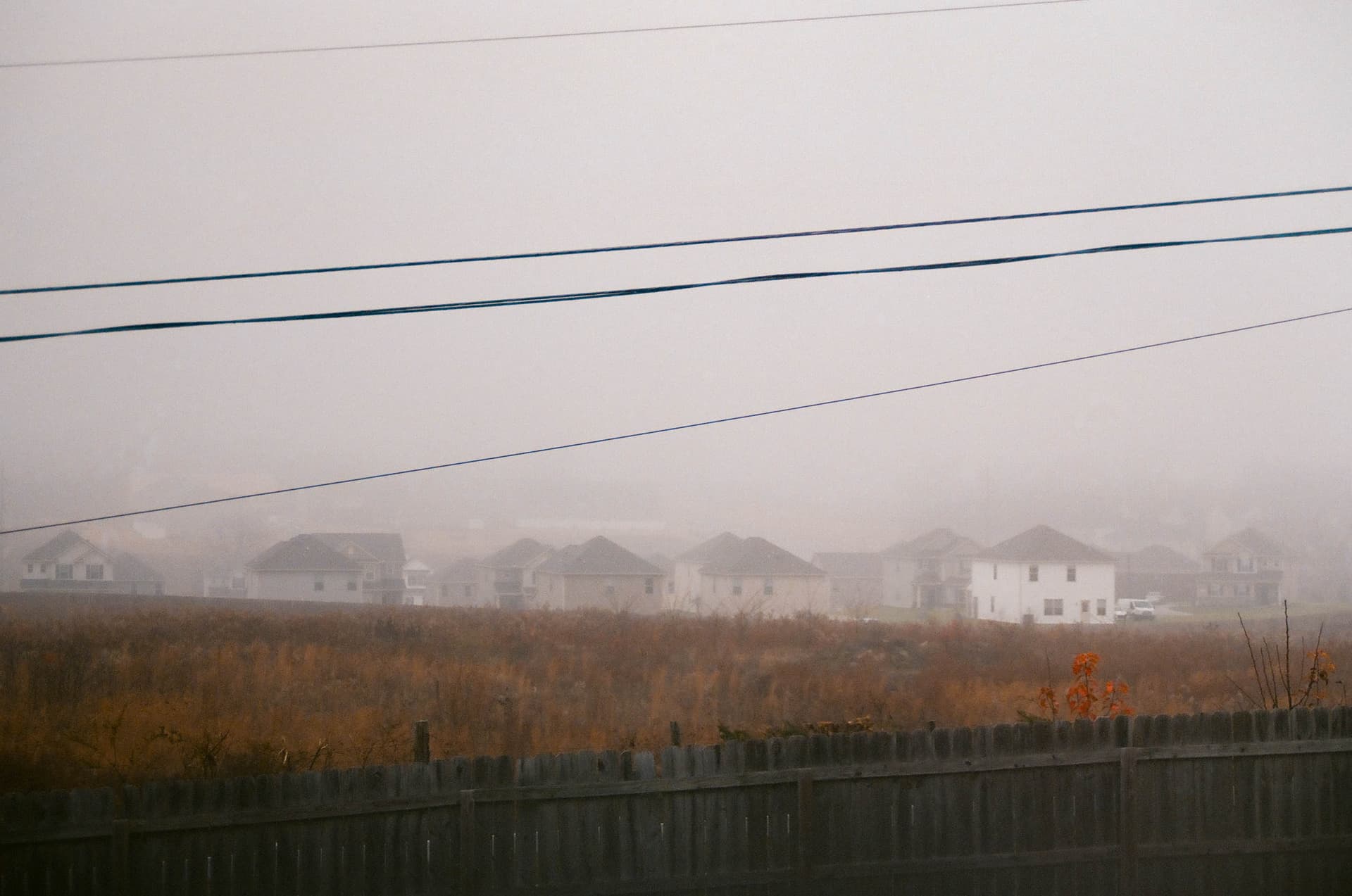 Melancholy Glow and Foggy Edges - Image 2