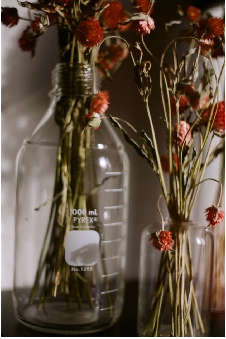 Whispers of Nostalgia - Image 1