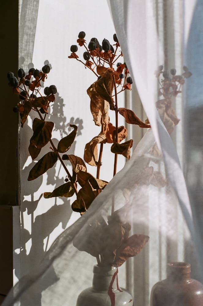 Quiet Frames, Cold Corners - Image 2