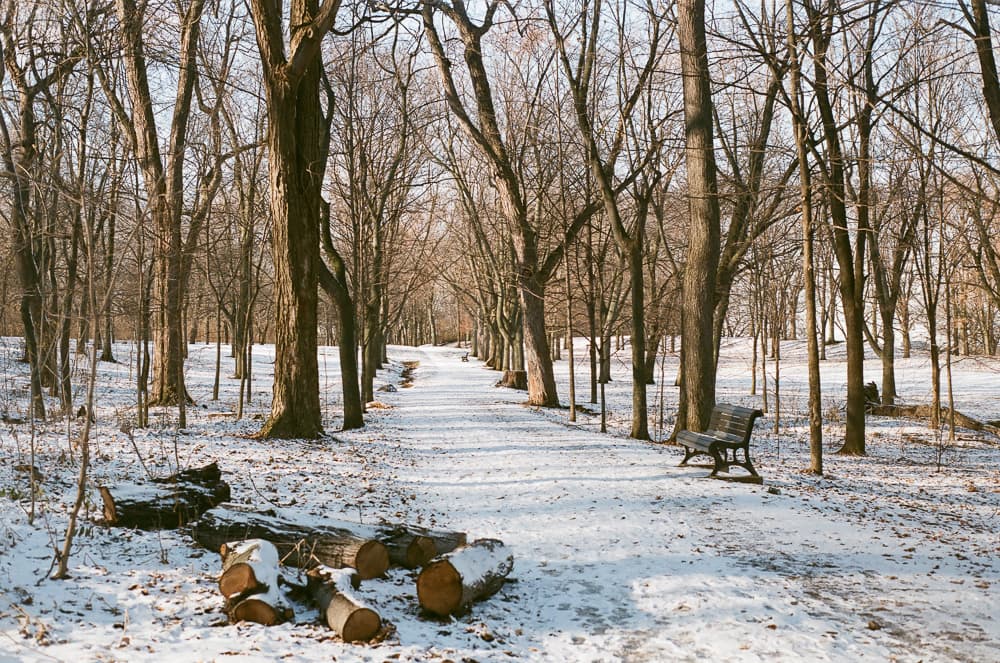 Quiet Frames, Cold Corners - Image 4