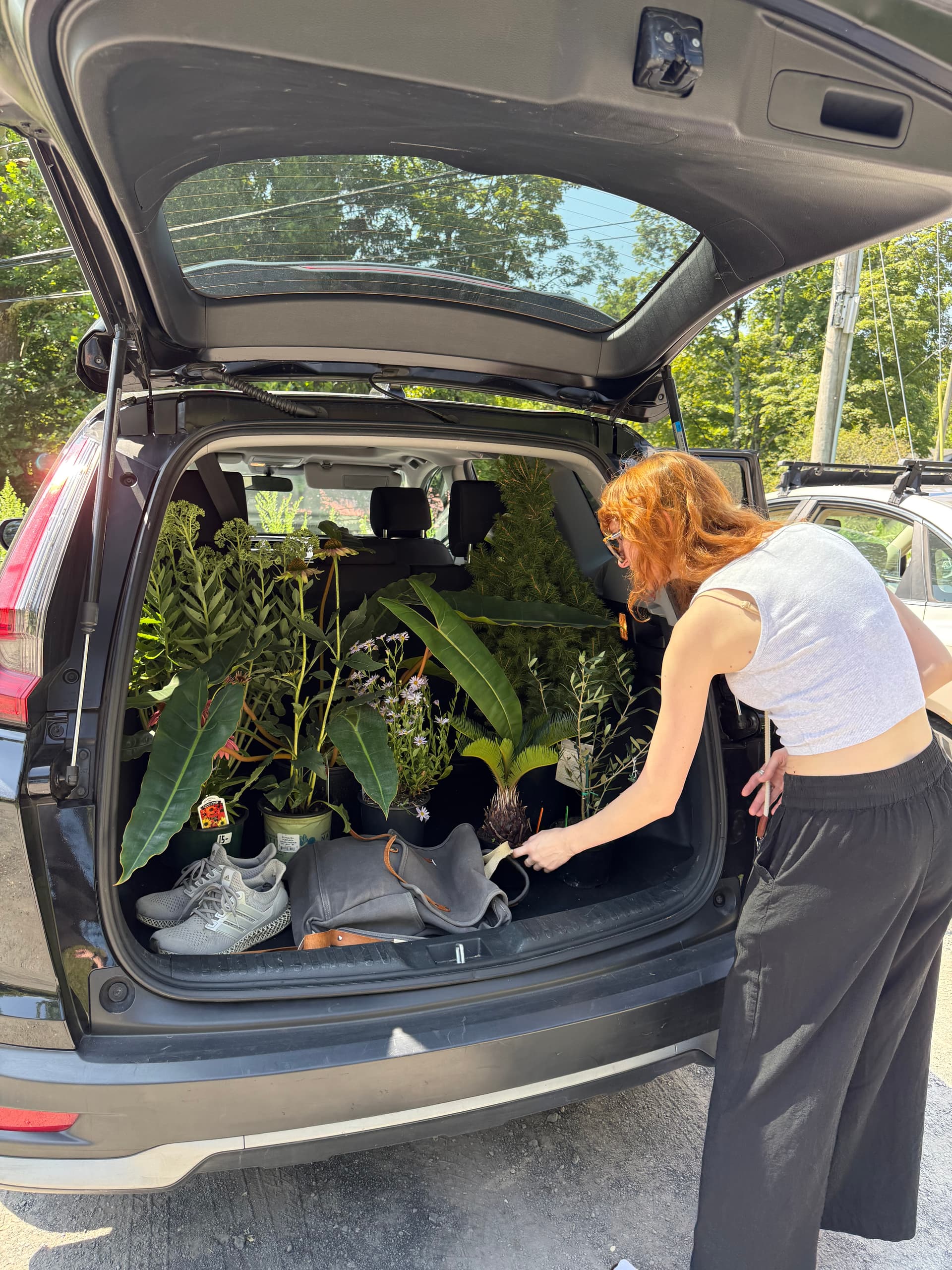 Botanical Bliss and Cozy Corners - Image 4