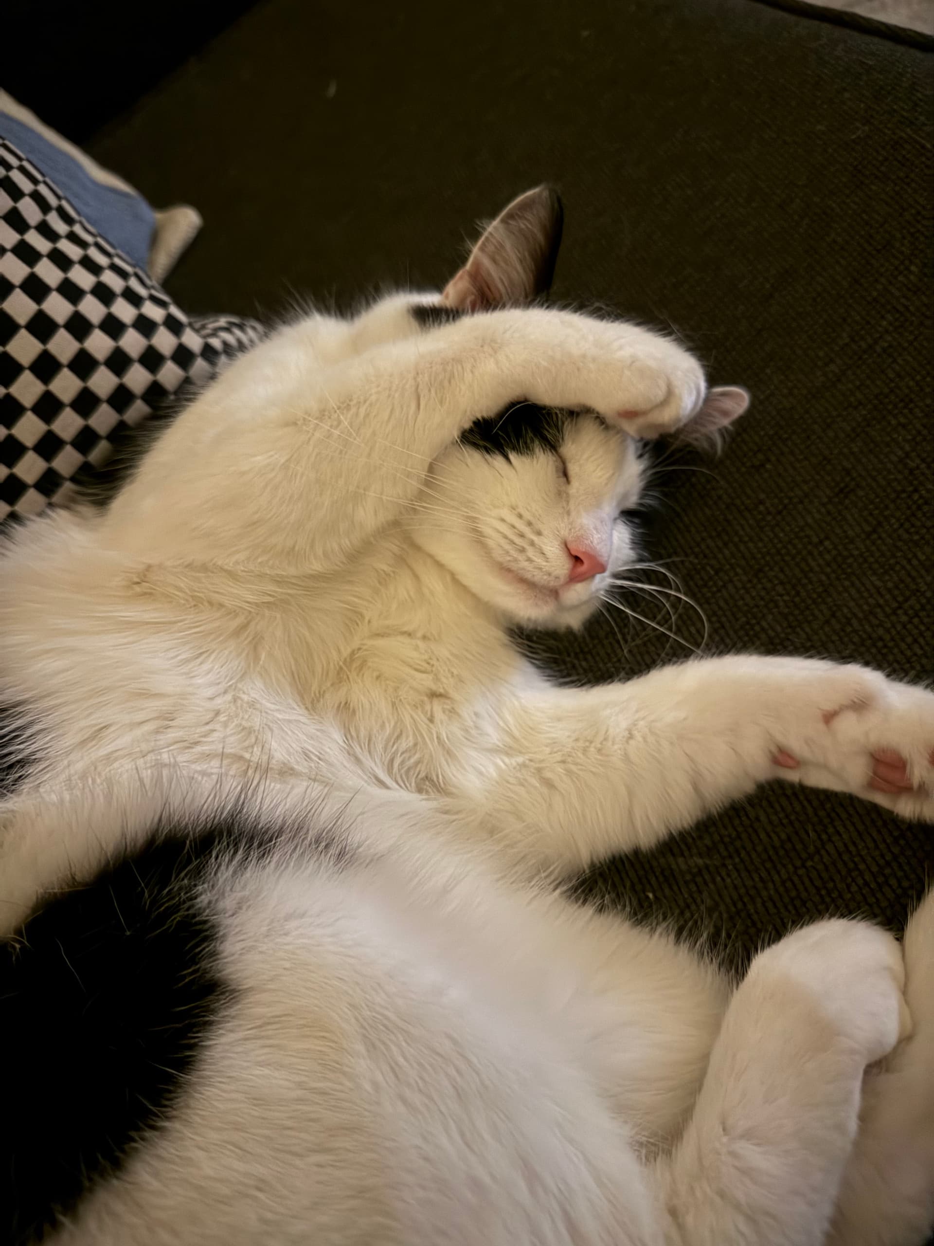 Botanical Bliss and Cozy Corners - Image 5