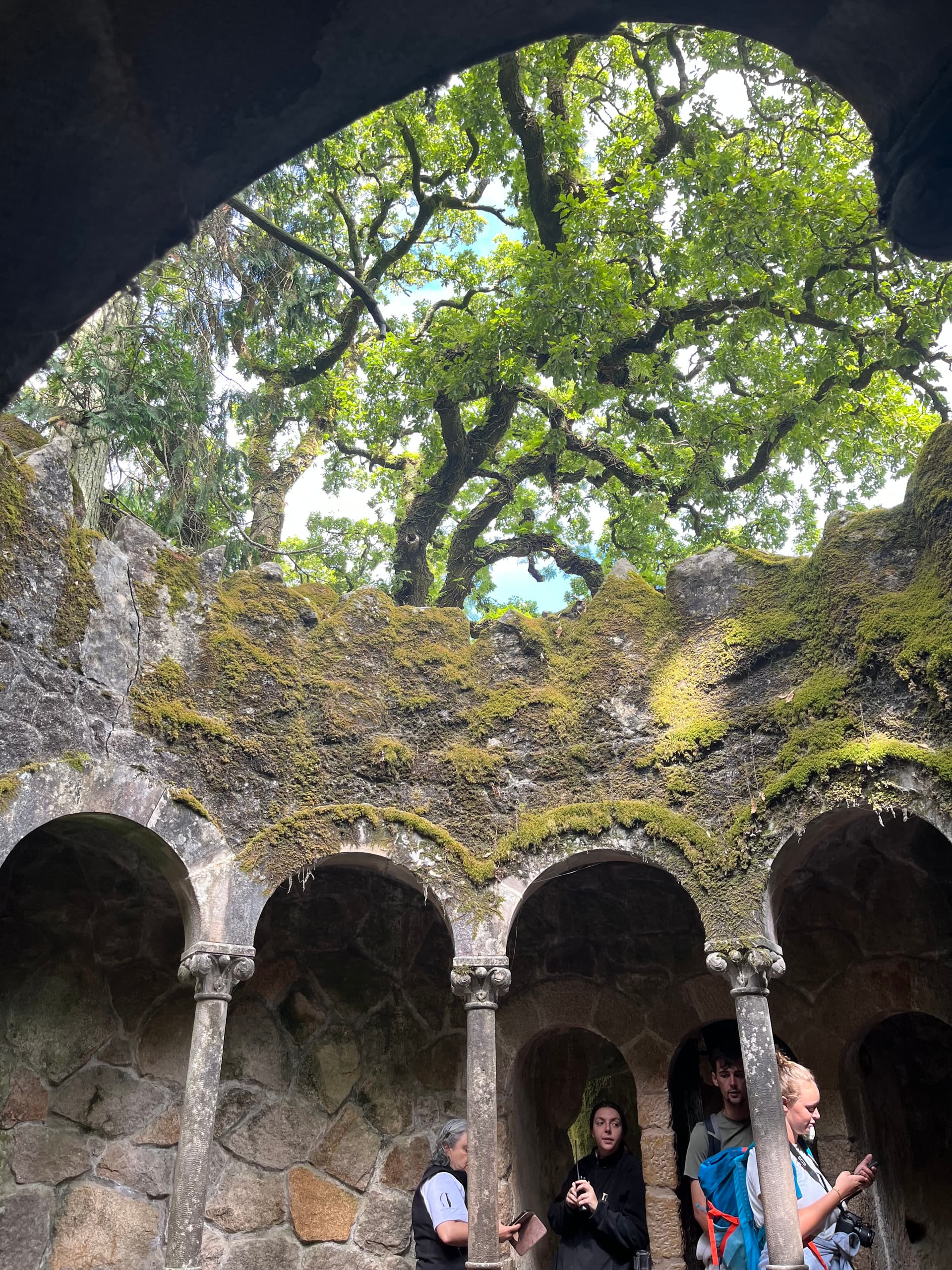 Portugal: Tiles, Tarts & Timeless Greens - Image 3