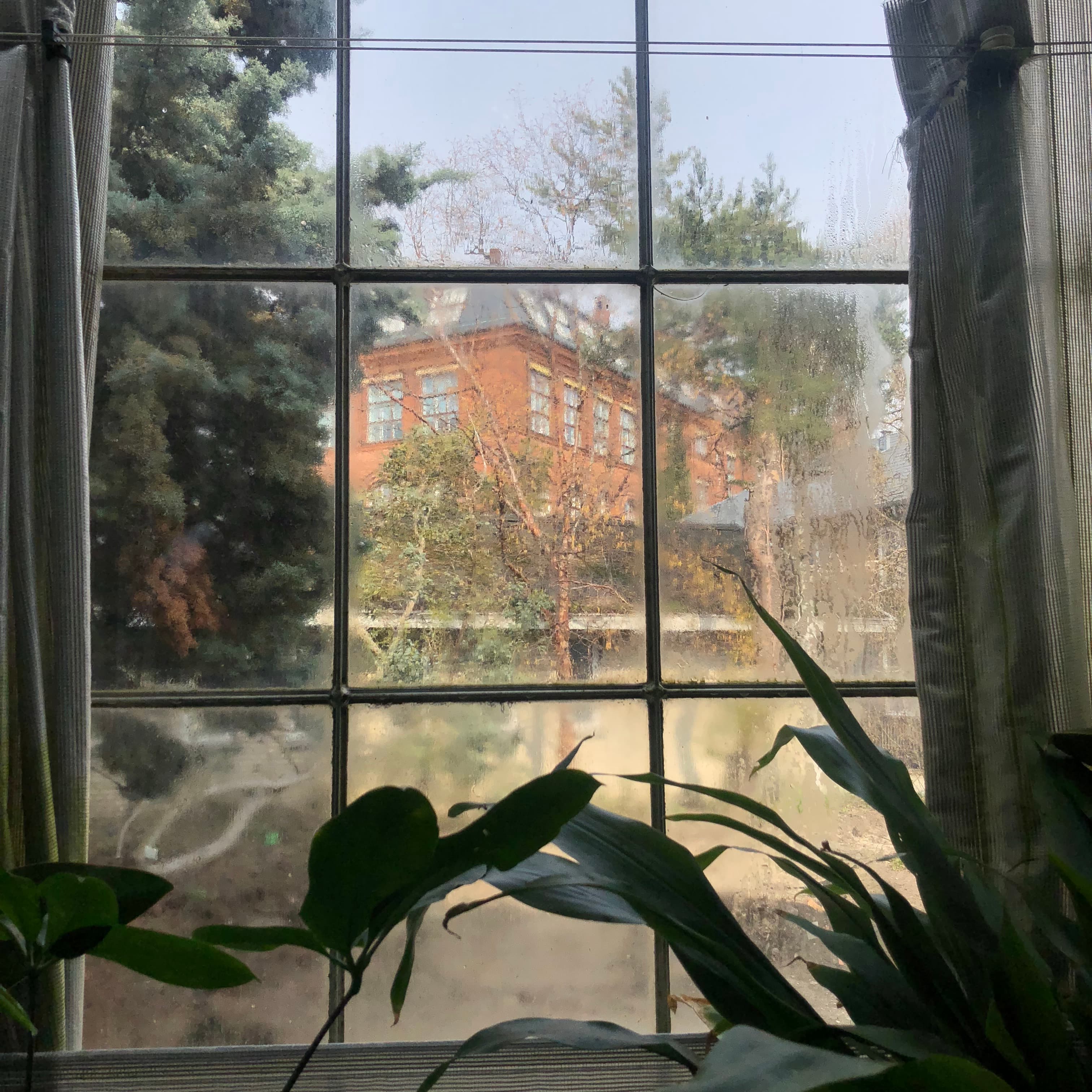 Greenhouse Mist in Copenhagen