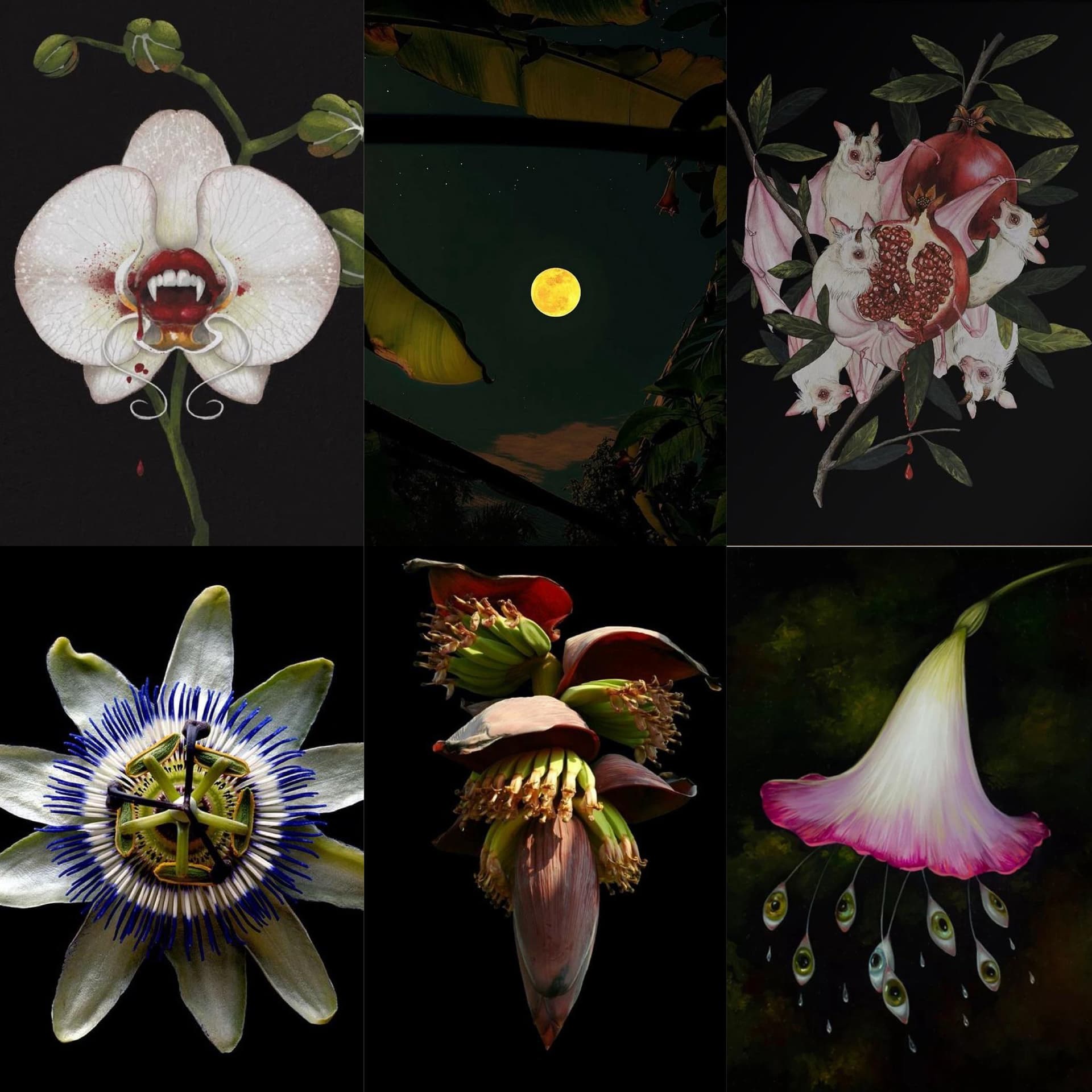 Forbidden Flora, Dark Delights - Image 1