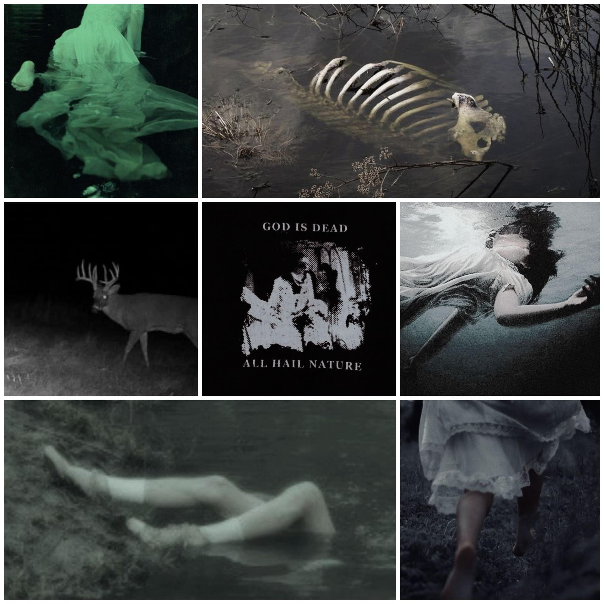 Echoes of Decay - Image 1